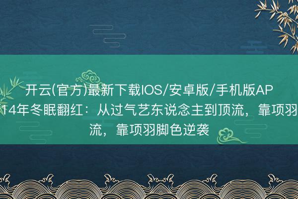 开云(官方)最新下载IOS/安卓版/手机版APP 何润东14年冬眠翻红：从过气艺东说念主到顶流，靠项羽脚色逆袭