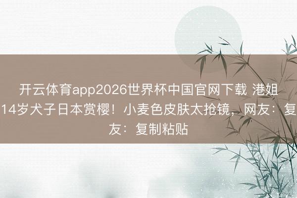 开云体育app2026世界杯中国官网下载 港姐季军带14岁犬子日本赏樱!小麦色皮肤太抢镜,网友:复制粘贴