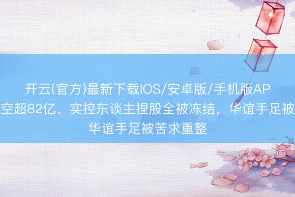开云(官方)最新下载IOS/安卓版/手机版APP 累计亏空超82亿、实控东谈主捏股全被冻结,华谊手足被苦求重整